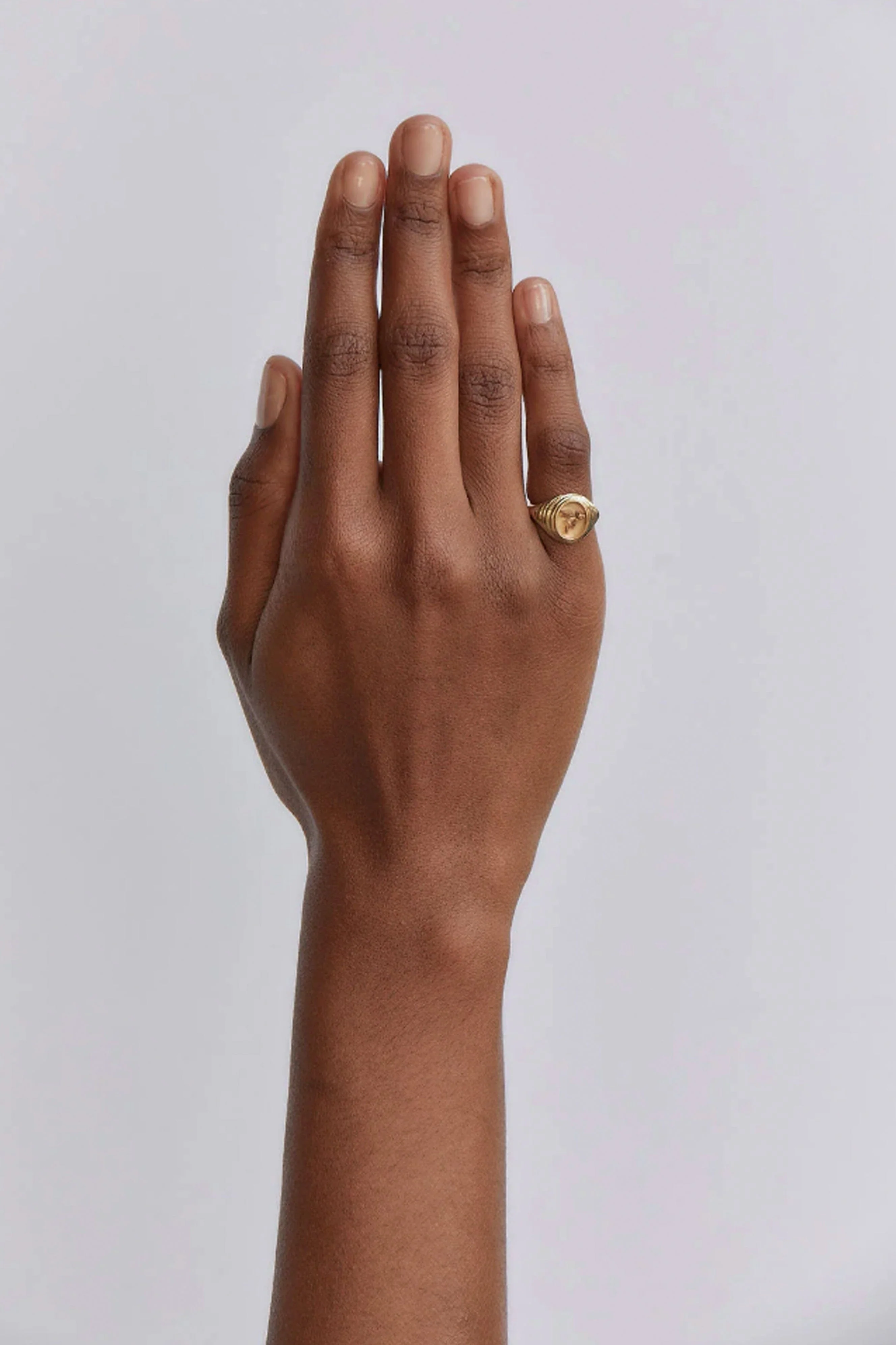 Retrouvai Tiered Fantasy Signet - Flying pig - Image 4